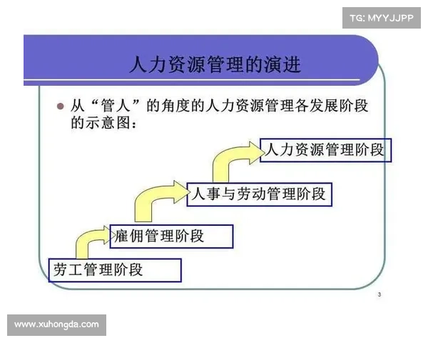 安联赞助商的主要特点与优势分析及其在全球市场的战略定位